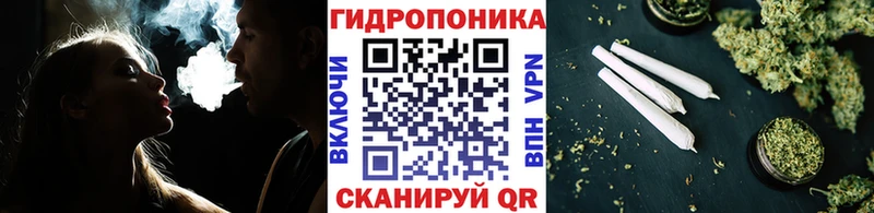 Экстази Сланцы
