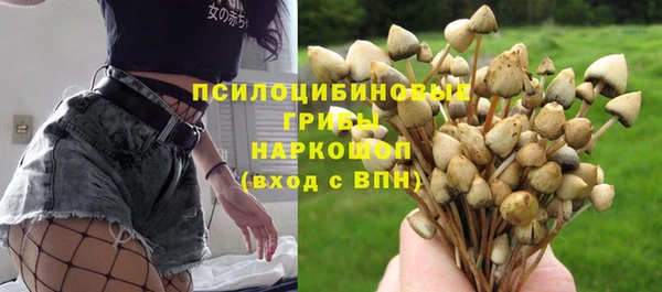 прущий лед Дмитровск