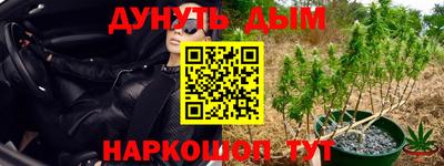 стафф Донской
