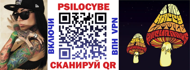 Галлюциногенные грибы Psilocybe  Сланцы 
