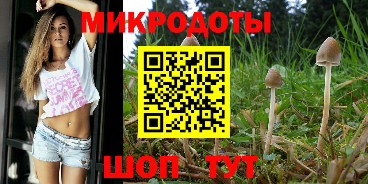 Галлюциногенные грибы Cubensis Сланцы