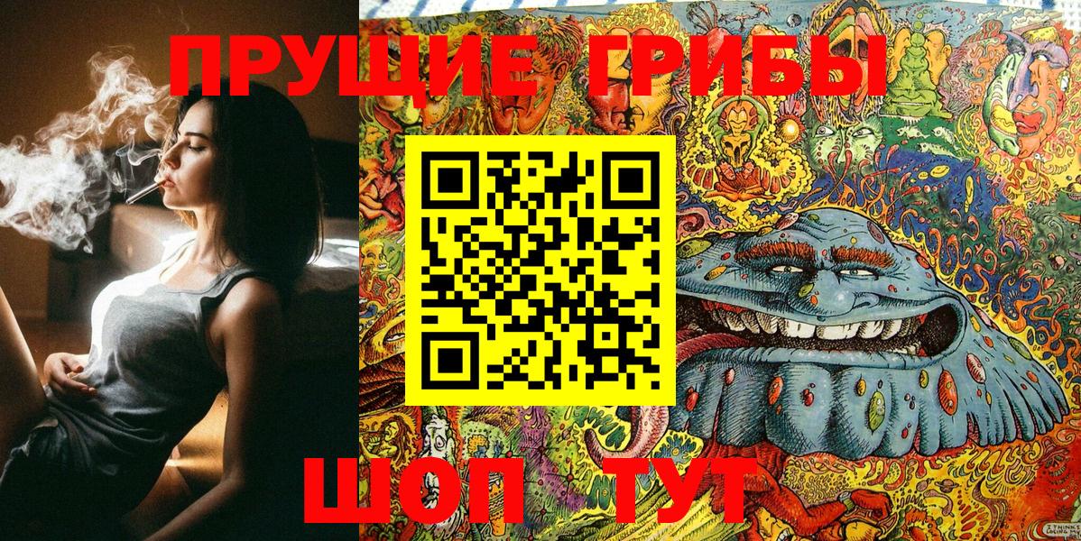 Сланцы  Псилоцибиновые грибы MAGIC MUSHROOMS  Вход с VPN 